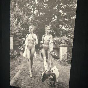 Fototapeta DETEKTOR kalendář č.5